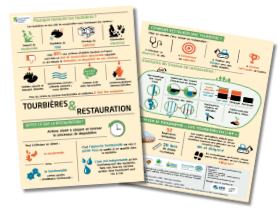 Infographie « Tourbières & Restauration »