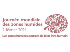 Journée mondiale des zones humides 2024