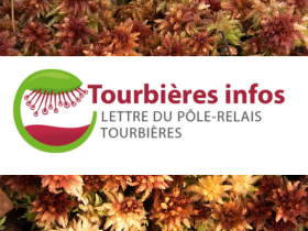 Le dernier Tourbières infos est sorti !