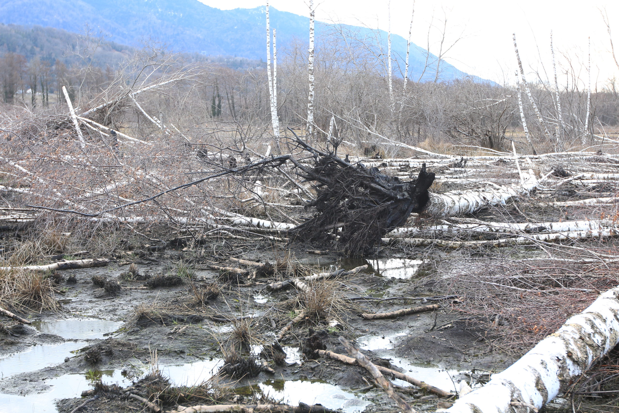 Présentation sur les feux de tourbières avec l’ECASC de Valabre