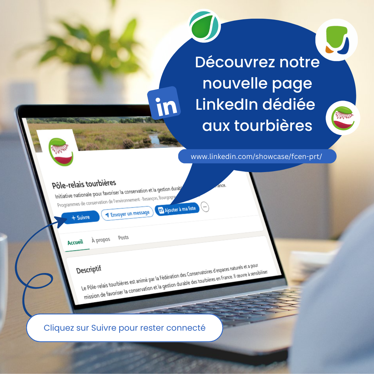 Les tourbières ont désormais leur espace dédié sur LinkedIn !